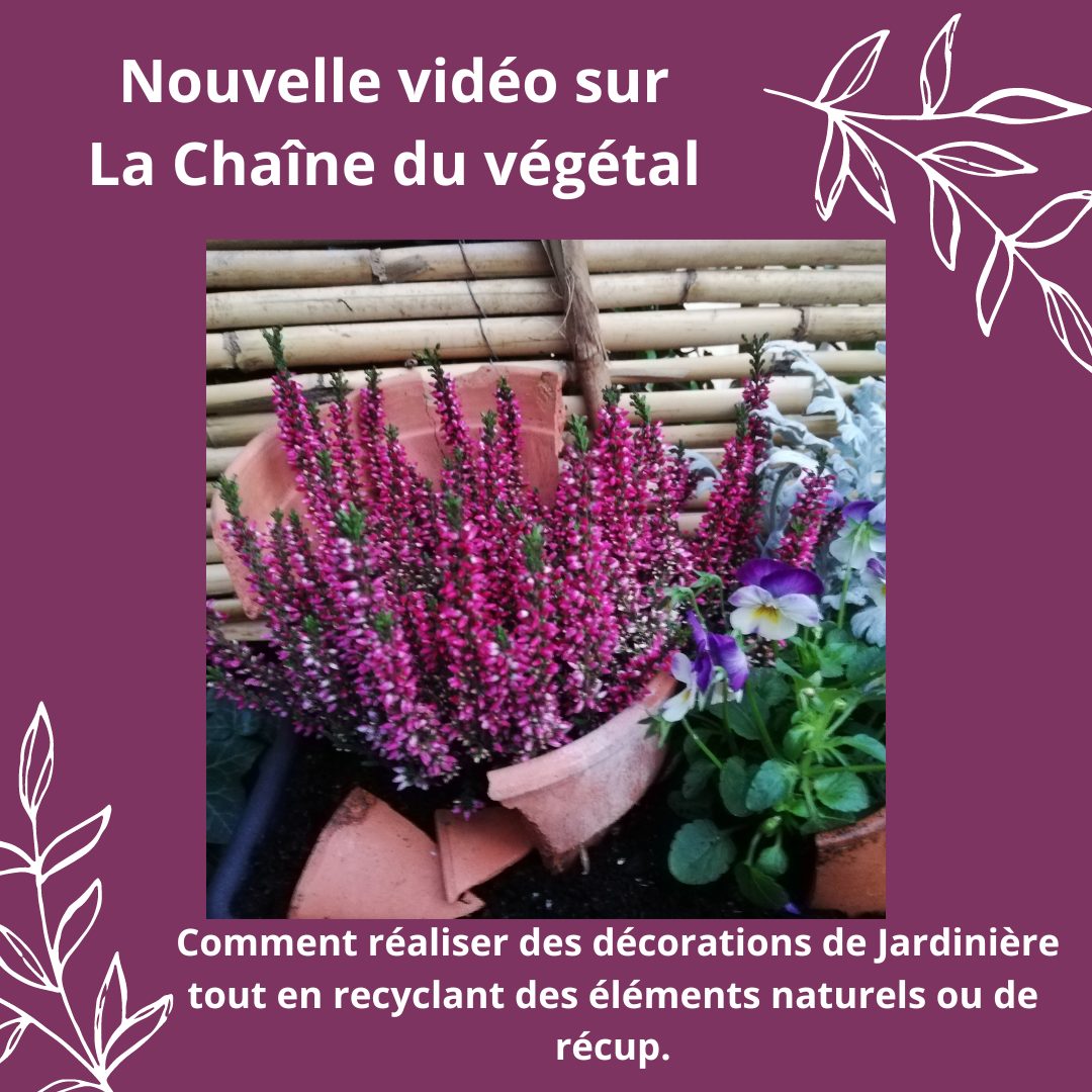 Lire la suite à propos de l’article DIY – Comment réaliser des décorations de Jardinière tout en recyclant des éléments naturels ou de récup.