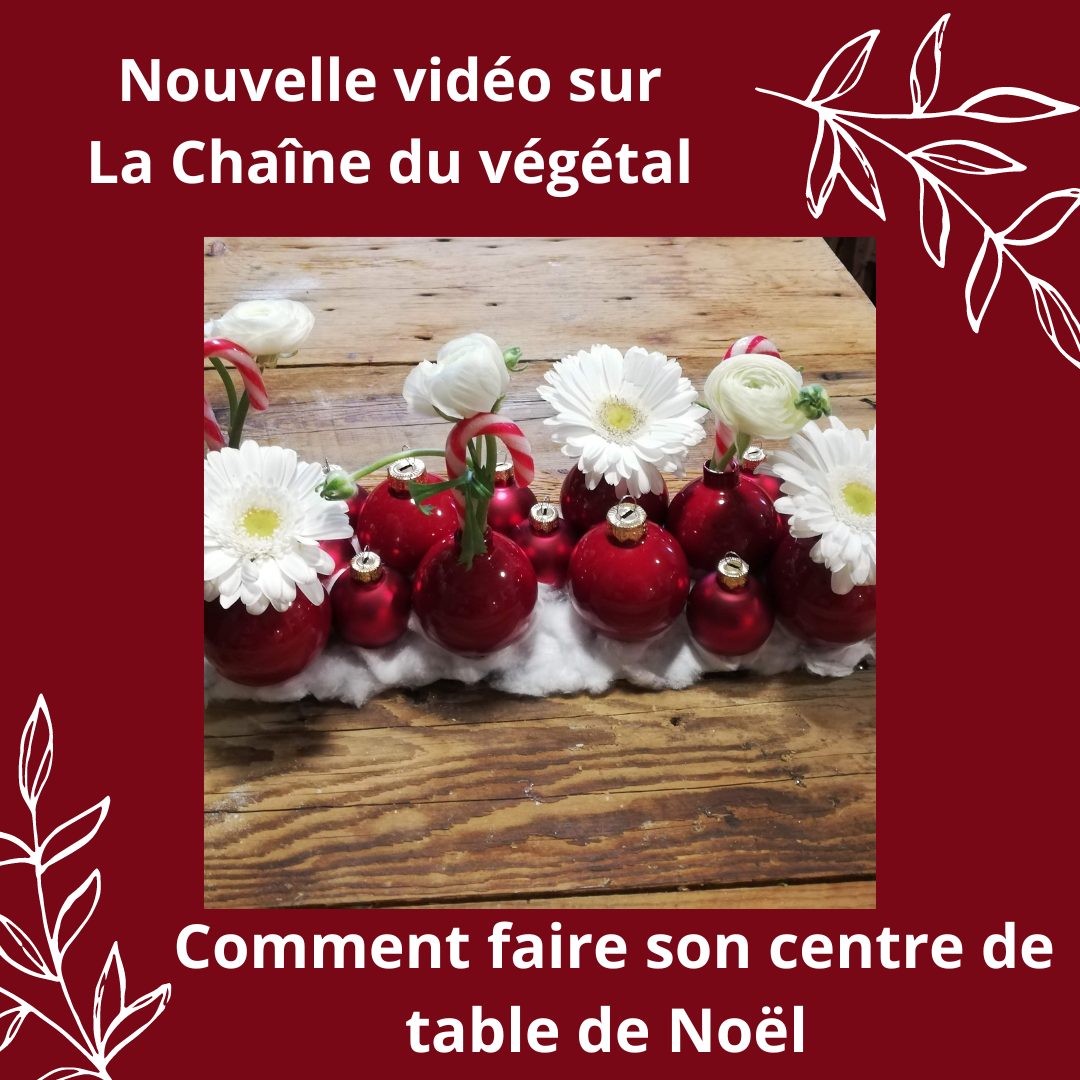 Lire la suite à propos de l’article DIY – Comment faire son centre de table de Noël