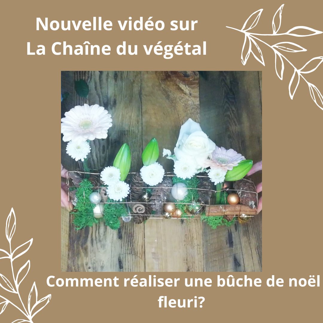 Lire la suite à propos de l’article DIY – Comment faire une Bûche de Noël fleurie