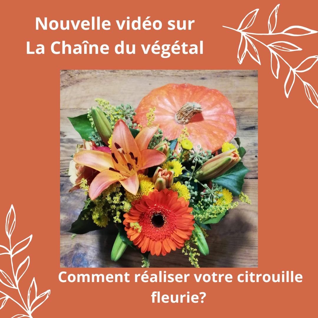 Lire la suite à propos de l’article DIY – Comment faire votre citrouille fleurie.