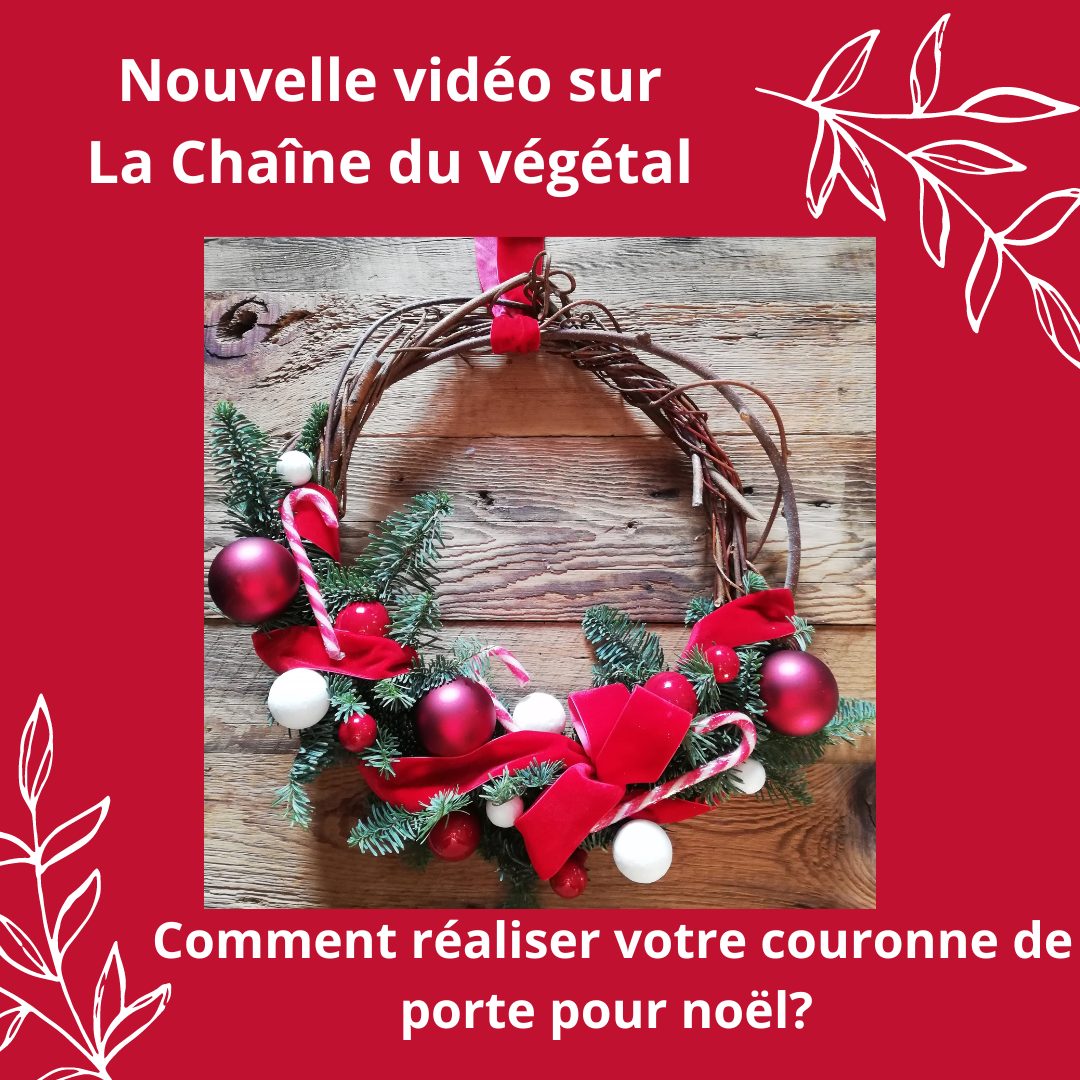 Lire la suite à propos de l’article DIY – Comment créer votre couronne de porte pour Noël.